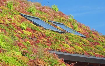 Thorverton living roof systems